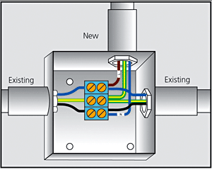 Figure 5 (d) - Extension, alteration and repair to an existing single phase installation where phase conductor is identified by blue colour