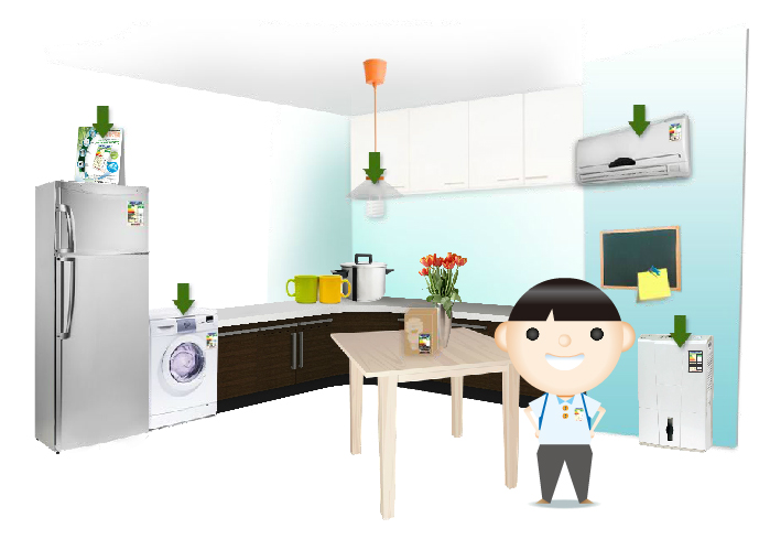 Understanding MEELS Label