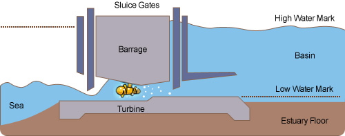 The barrage has one-way gates that allow the incoming flood tide to pass into the inlet. When the tide turns, the water flows out of the inlet through turbines built into the barrage, producing electricity