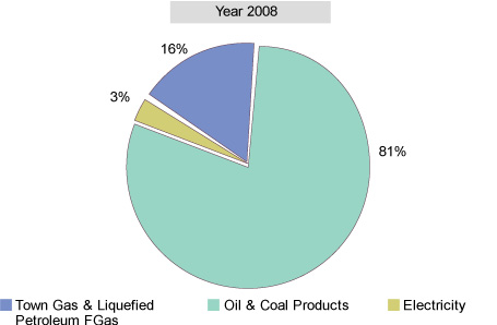 In 2008, town gas/LPG 16%, oil and coal 81%, electricity 3%