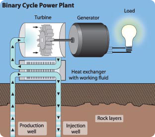 Binary cycle power plant: Pressurized water is injected into rock layers and pumped out to heat exchanger which turns water to steam to drive turbine to generate electricity
