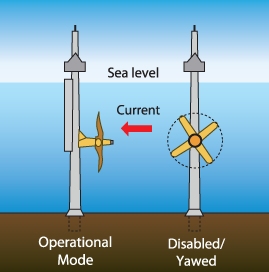Submerged water turbines rotated by sea current to generate electricity