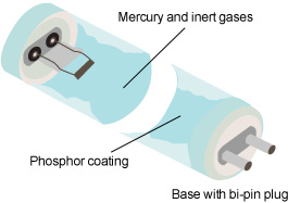 phosphor coating, mercury and inert gases and base with bi-pin plug