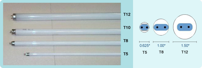 T5, T8, T12 Fluorescent Lamp