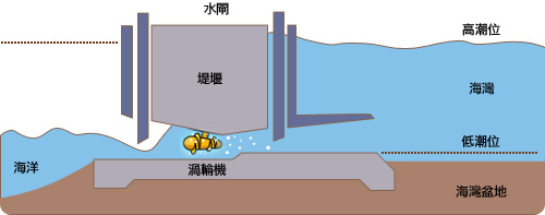 潮涨时，海水会经单向水闸流进被围起的盆地，潮退时，海水经涡轮机将盆地内所贮存的水放掉，便能产生电力