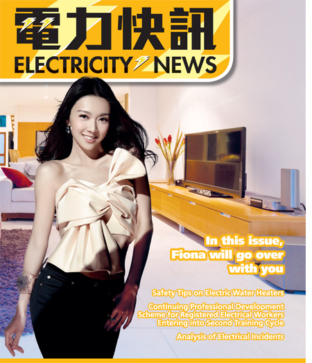 25th Issue (January 2015)