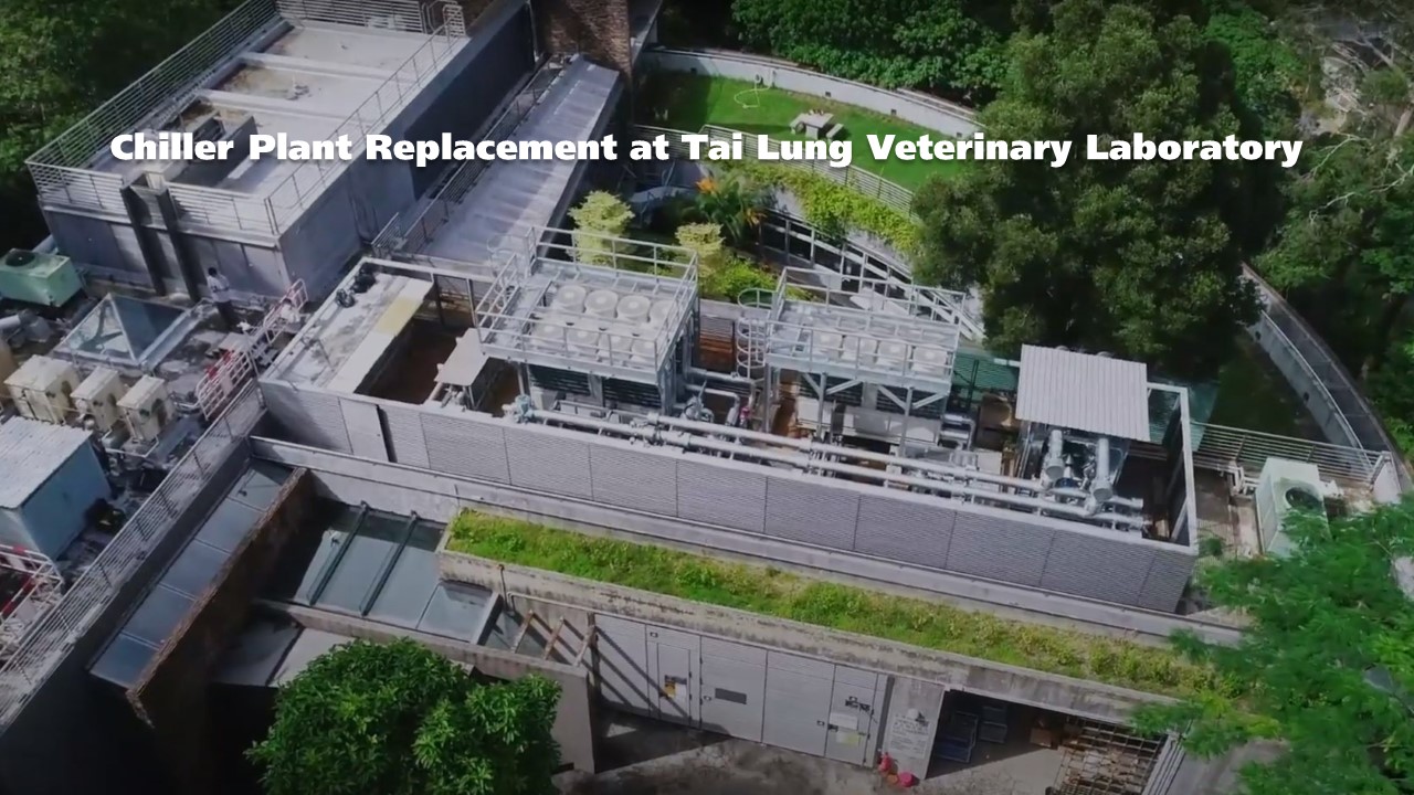 The First MiMEP Pilot Project in the EMSTF - Chiller Plant Replacement at Tai Lung Veterinary Laboratory