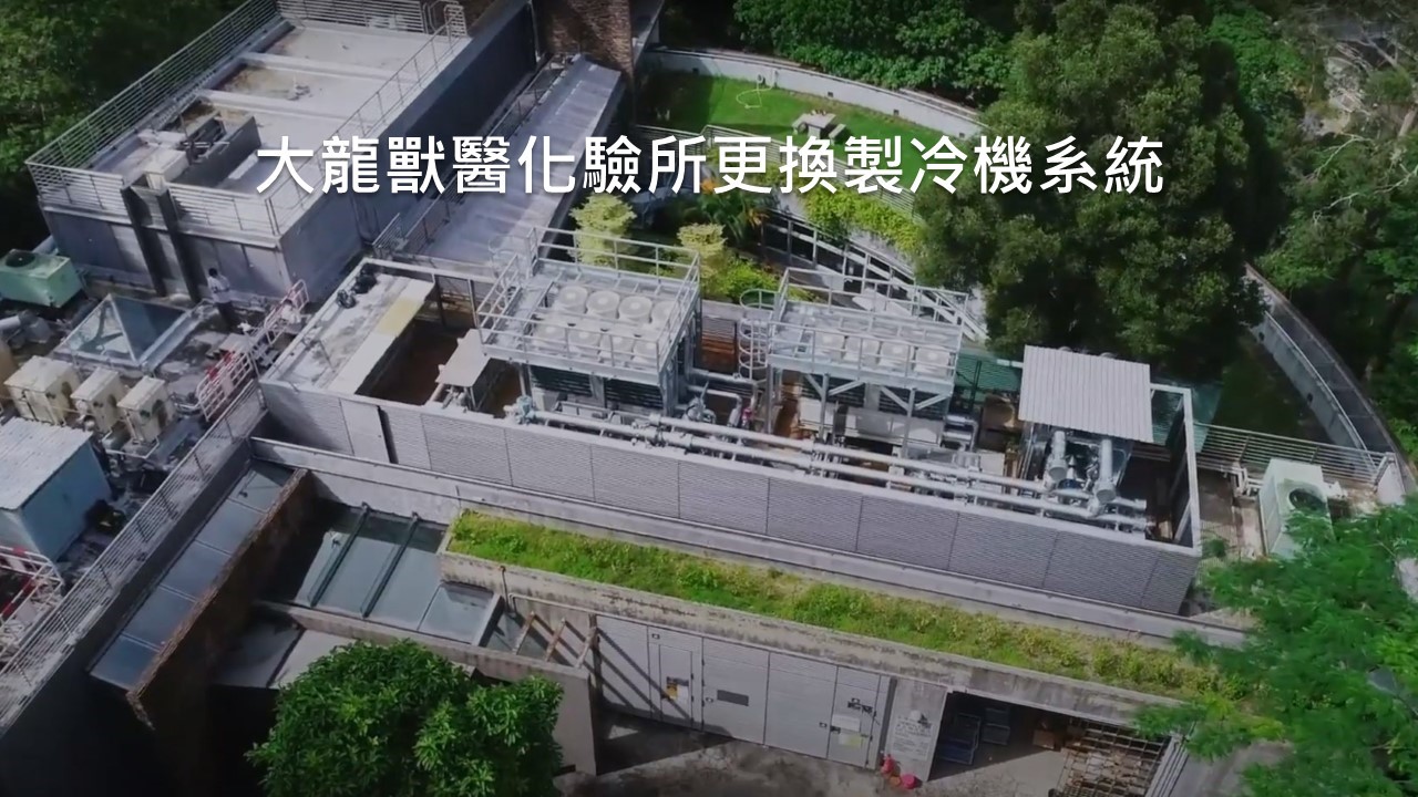 机电工程署「机电装备合成法」先导项目 – 大龙兽医化验所更换制冷机系统 机电工程署「机电装备合成法」先导项目 – 大龙兽医化验所更换制冷机系统