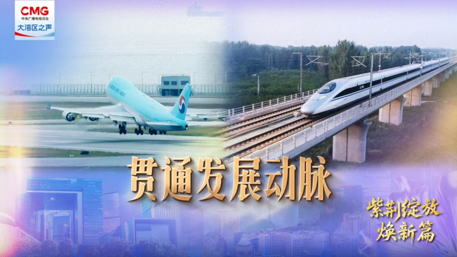 第六集: 贯通发展动脉