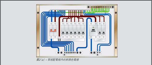 图2(a) -单相配电箱内的新颜色电线