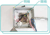 明箱与暗箱之间没有装设电路保护导体