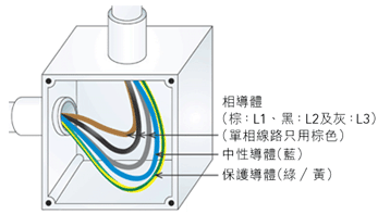 新电线颜色[相导体(棕：L1、黑：L2及灰：L3)、中性导体(蓝)及保护导体(绿/黄)]