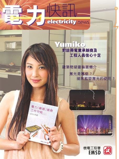 电力快讯第4期的封面