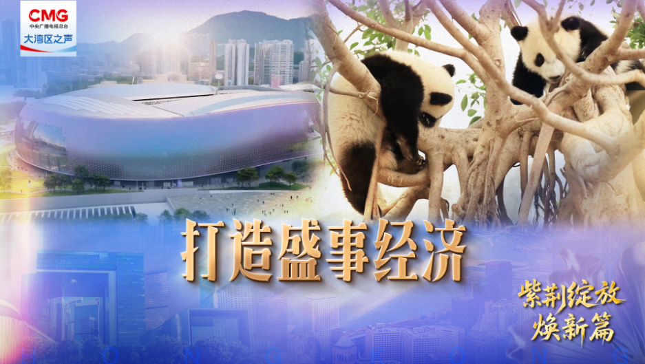 第五集: 打造盛事經濟