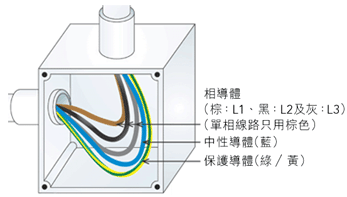 新電線顏色[相導體(棕：L1、黑：L2及灰：L3)、中性導體(藍)及保護導體(綠/黃)]
