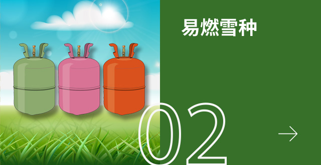 易燃雪种