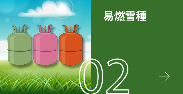 易燃雪種