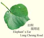 elephants.jpg (10921 bytes)