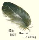 hwamei1.jpg (10108 bytes)
