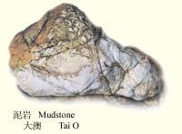 mud.jpg (14069 bytes)