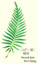 sword.jpg (14318 bytes)